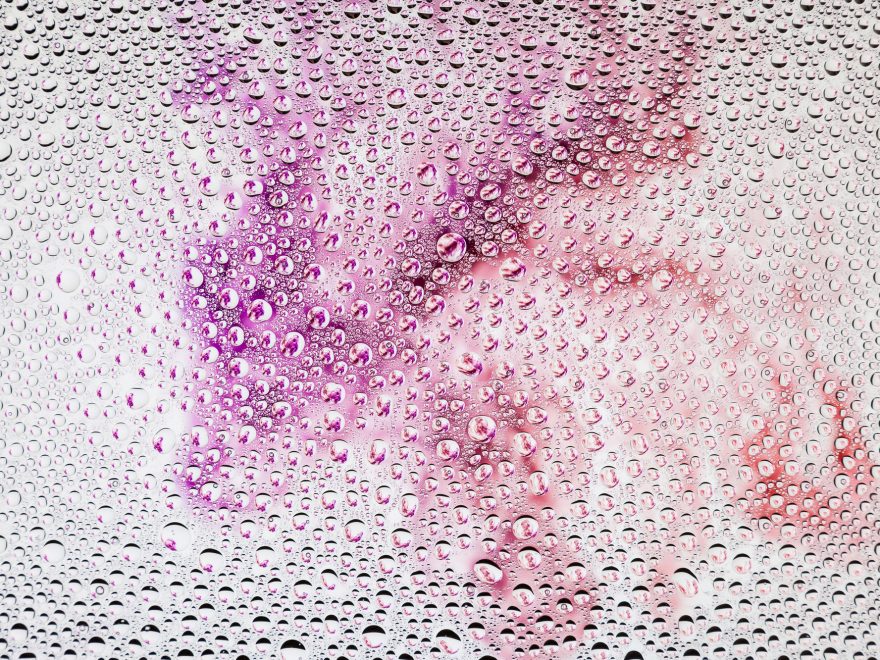 How to Repair Scratches and Bubbles in Window Tint US Auto Repair