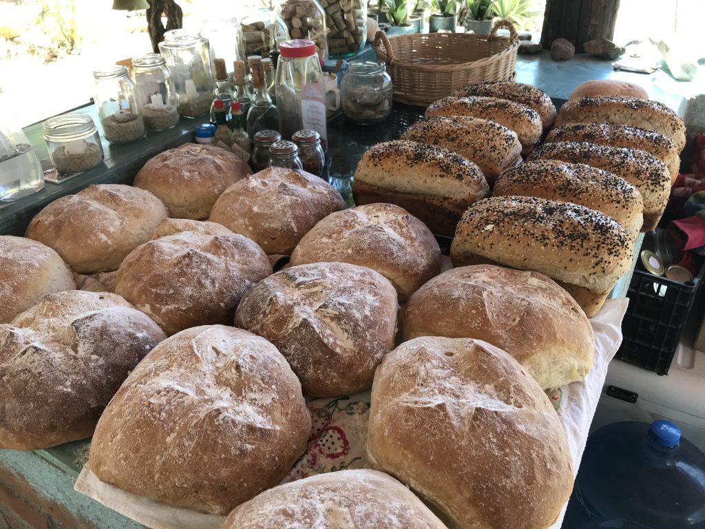 Pizza Gourmet San Antonio The Ventana View