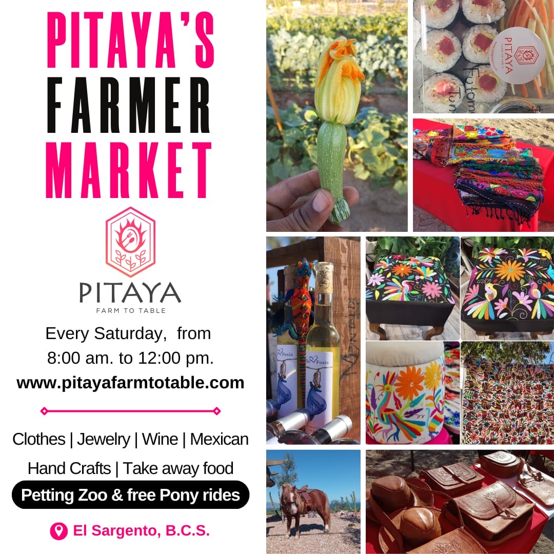 Pitaya’s Farmers Market Pitaya The Ventana View