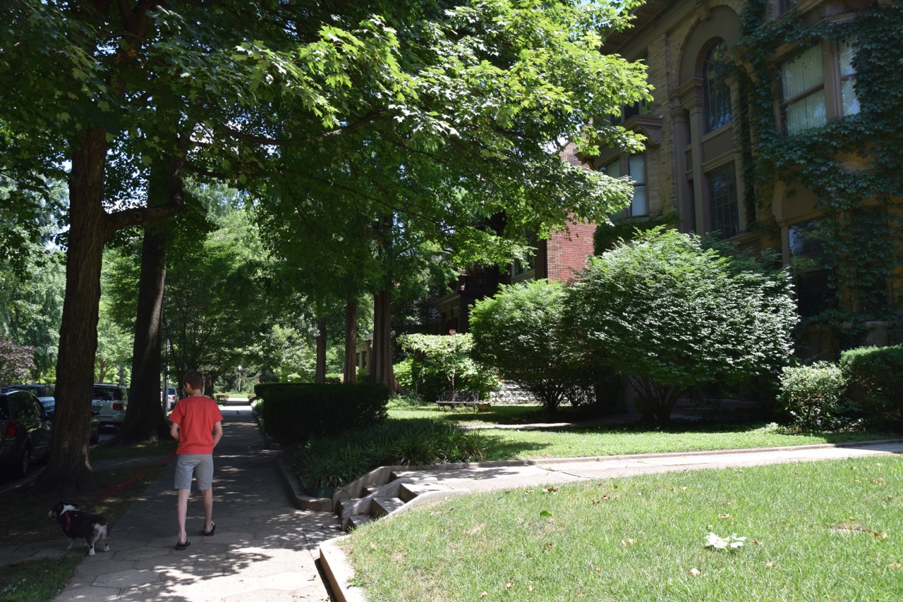 The Vermilion Road DSC_0015