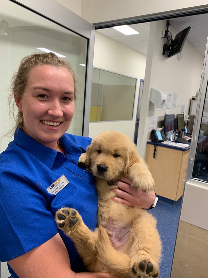 Vetwest Mandurah The Veterinary Map