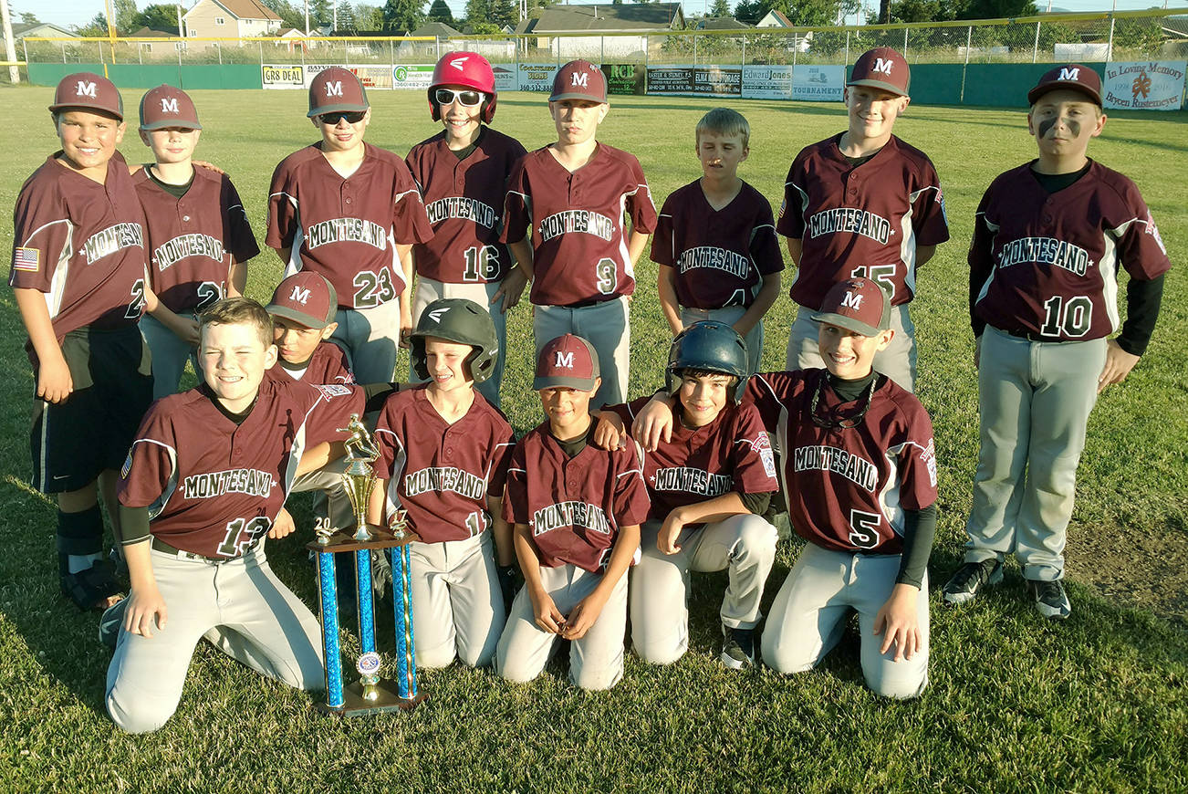 Aberdeen wins District III 911 Little League baseball pennant The Vidette