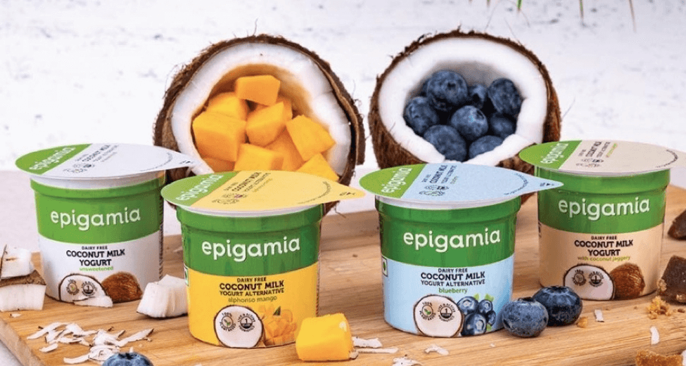 THE CURATED LIST OF VEGAN BANGALORE The Vine Bangalore