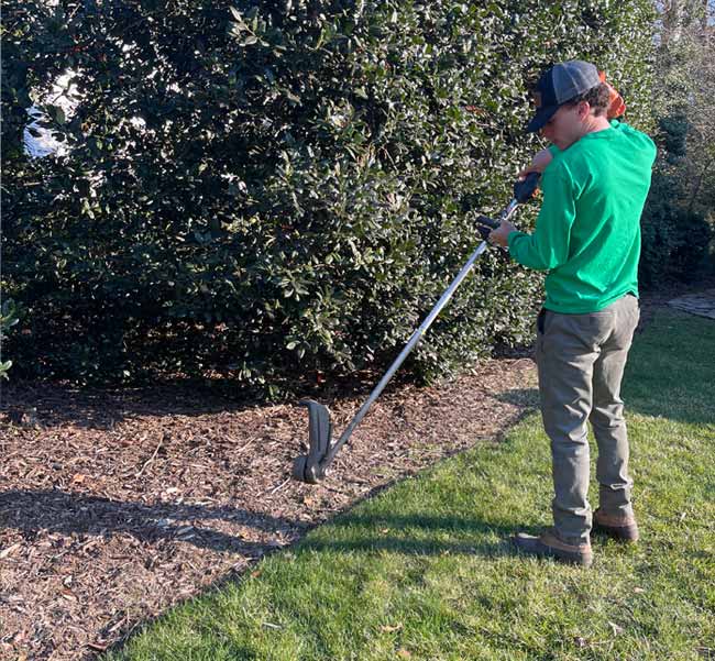 Affordable Landscaping Near Me The Vine Landscaping