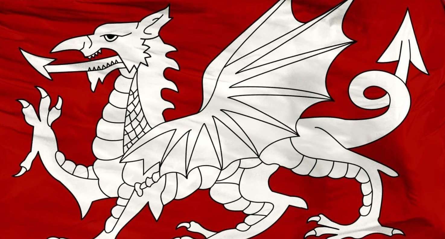 Raise The White Dragon Flag The Delingpod The_Void