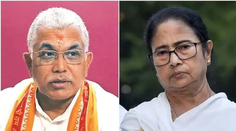 ভবানীপুরের ফল নিয়ে হাইকোর্টে মমতা, হারের জ্বালায় কটাক্ষ দিলীপের!