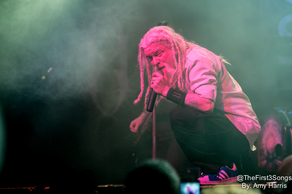 A Day In The Life Of...Gemini Syndrome