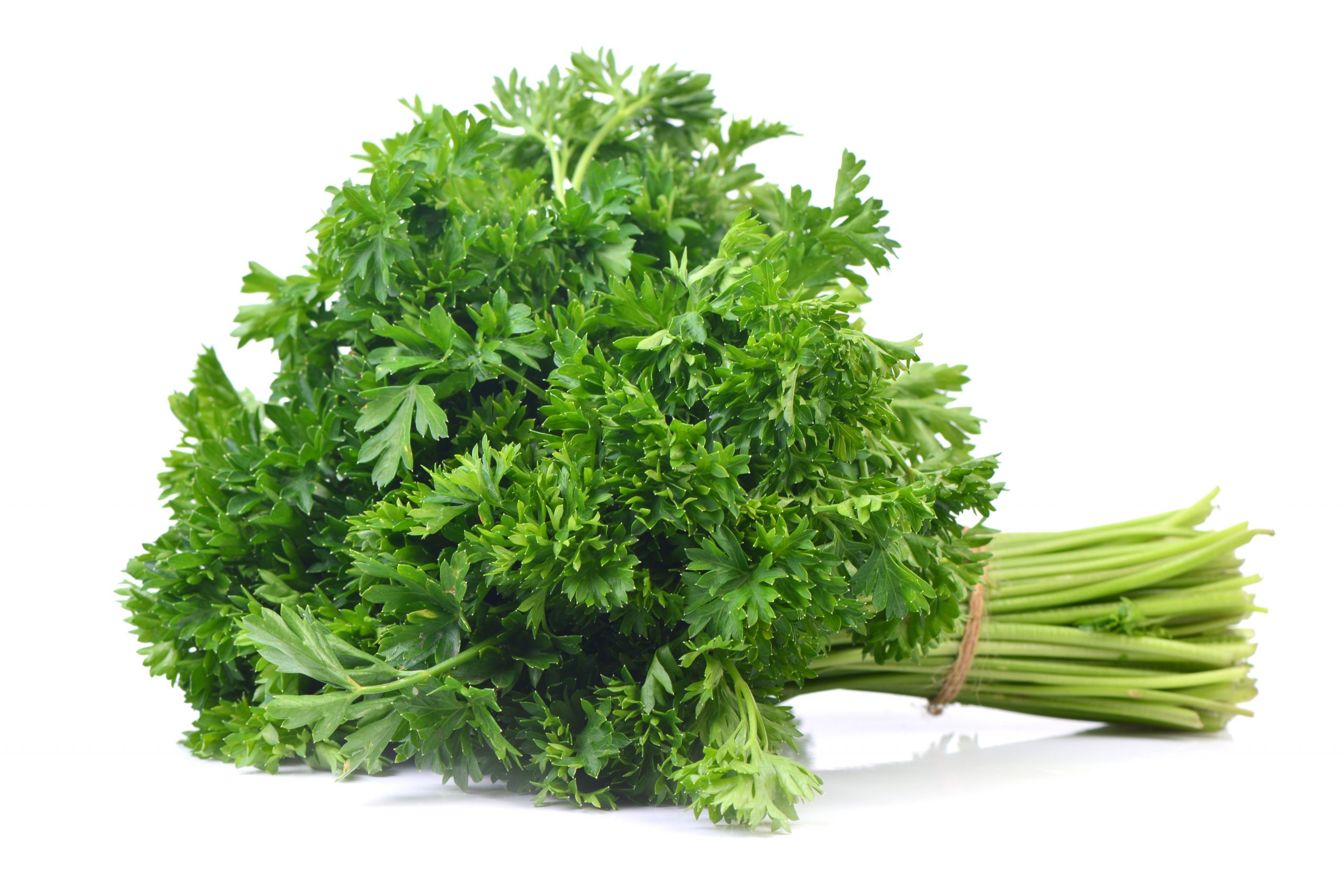 Viral Parsley In Marathi More Heaven Song