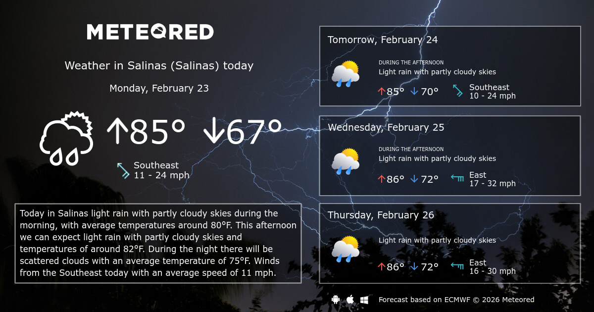 Salinas (Salinas) Weather 14 days Meteored