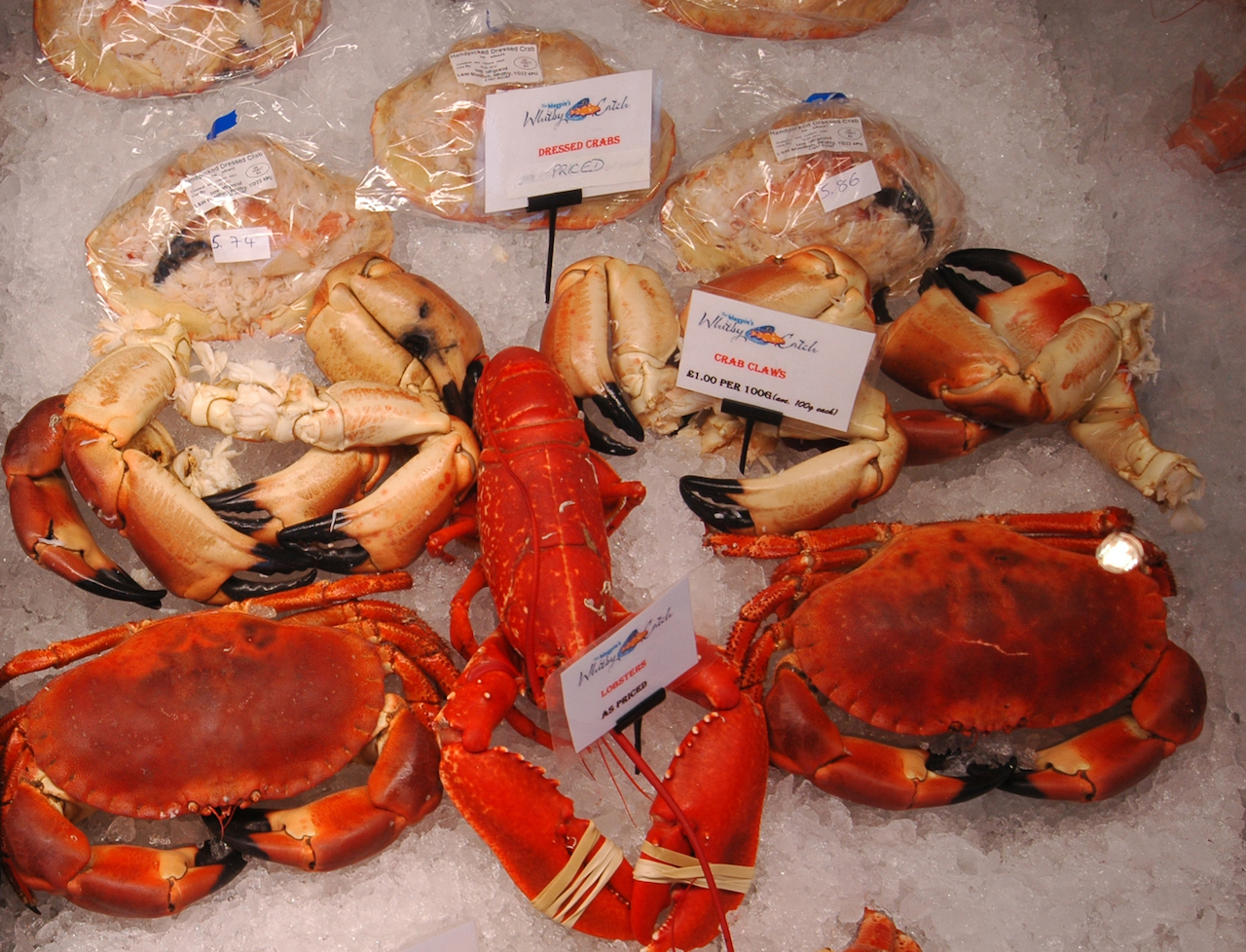 Gallery The Whitby Catch Buy fresh fish and seafood online