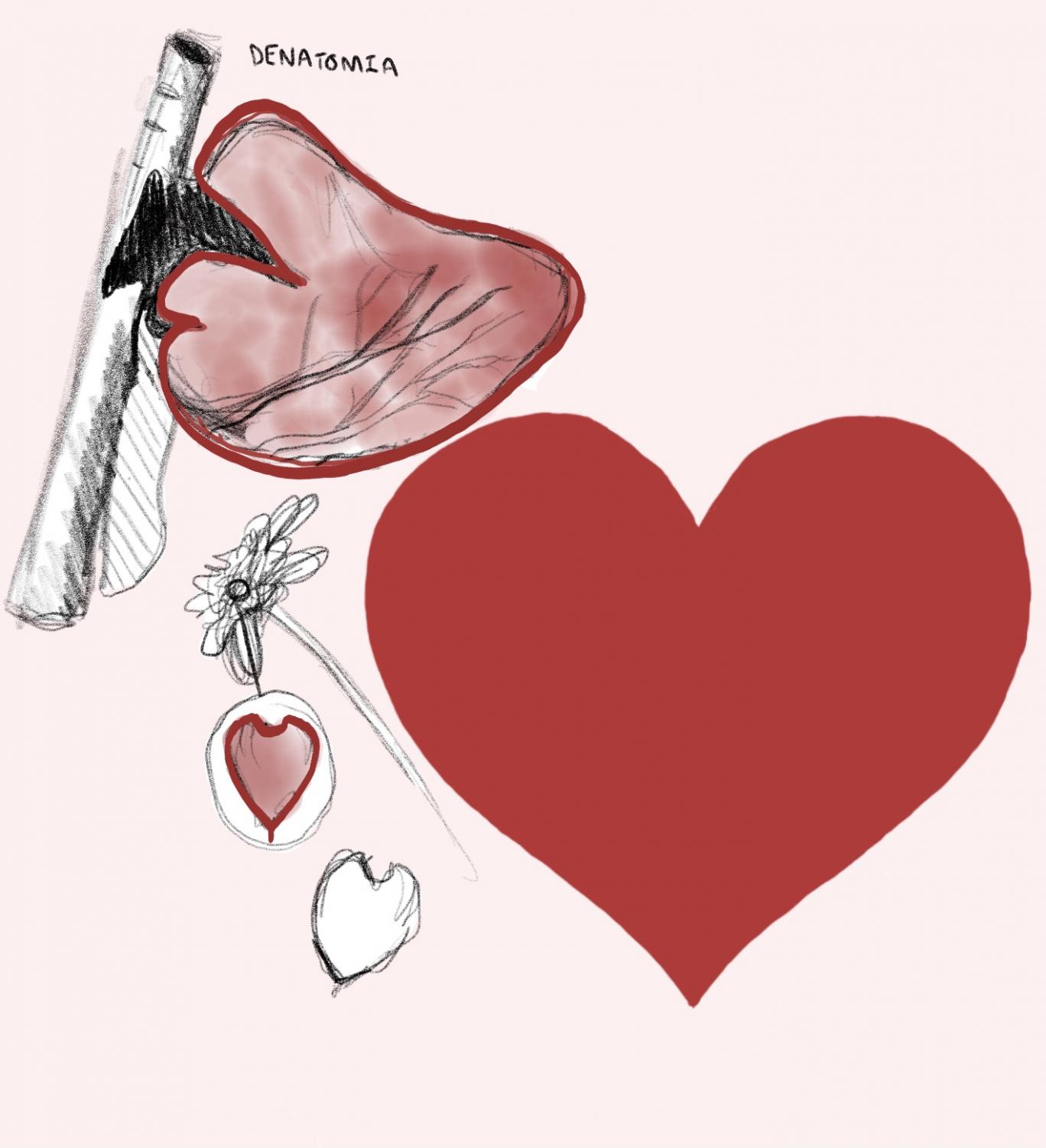Why Does The Heart Shape Not Look Like A Heart