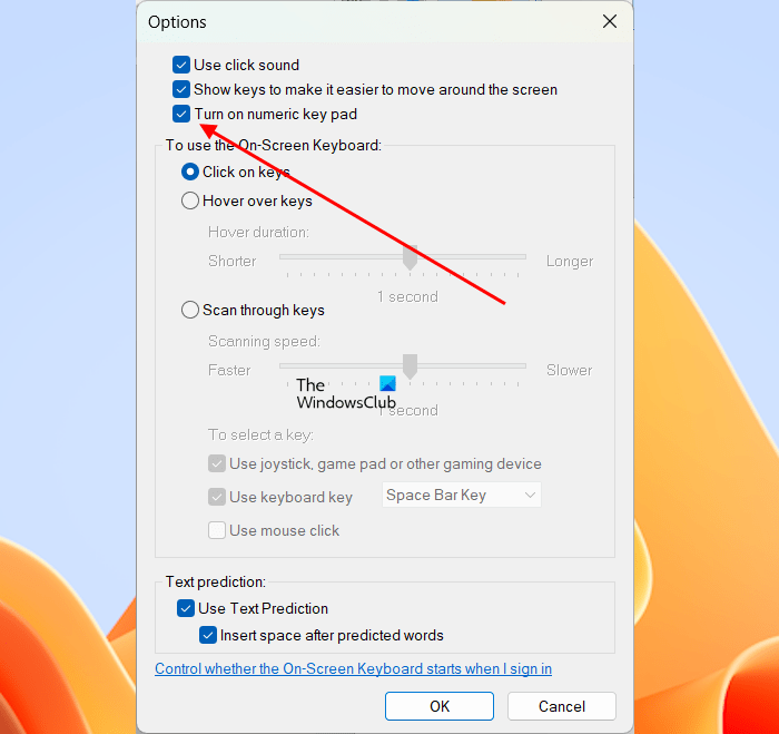 How to use Alt Codes without a Numpad on Windows 11/10