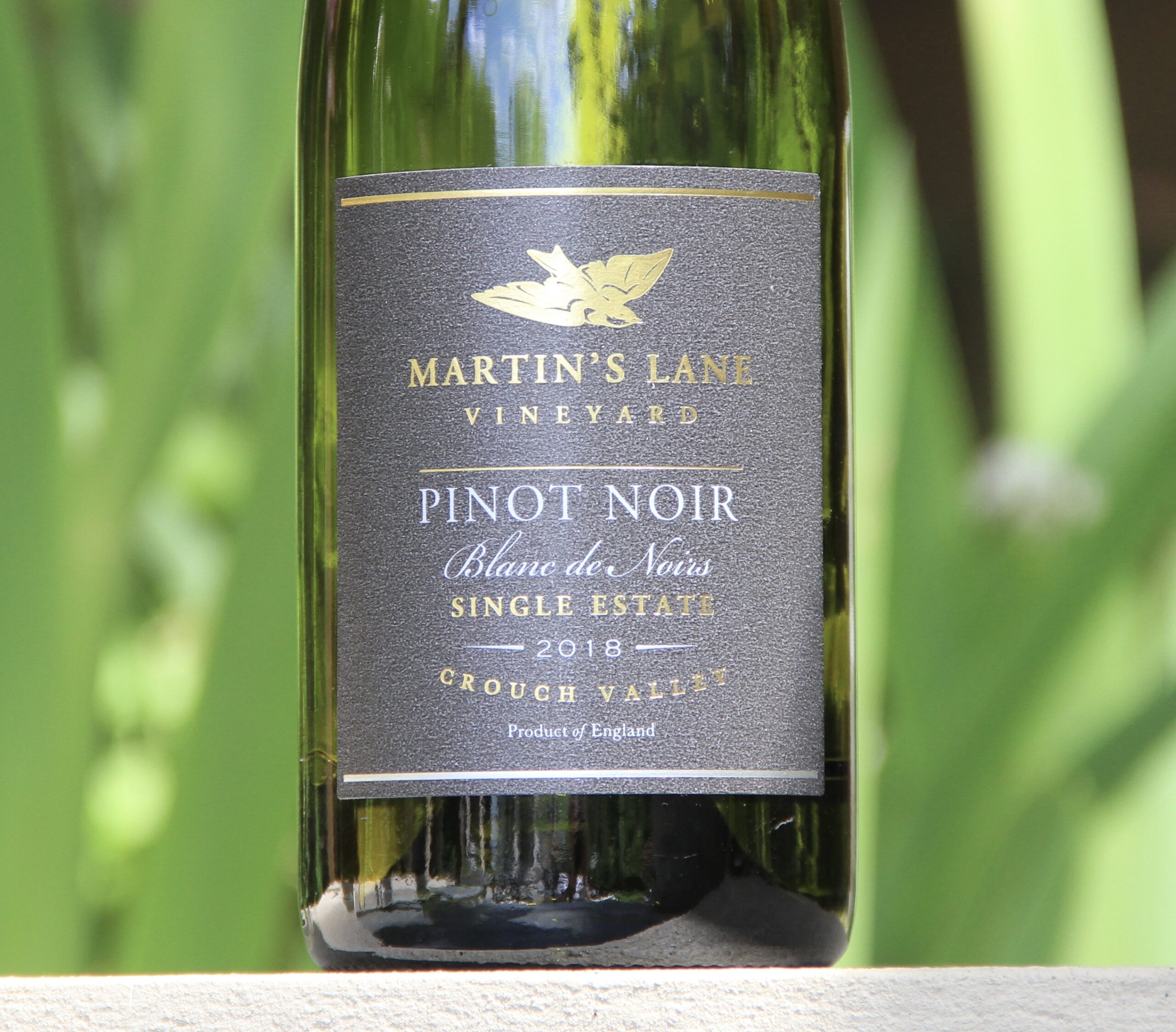 Gallery The Wine Word