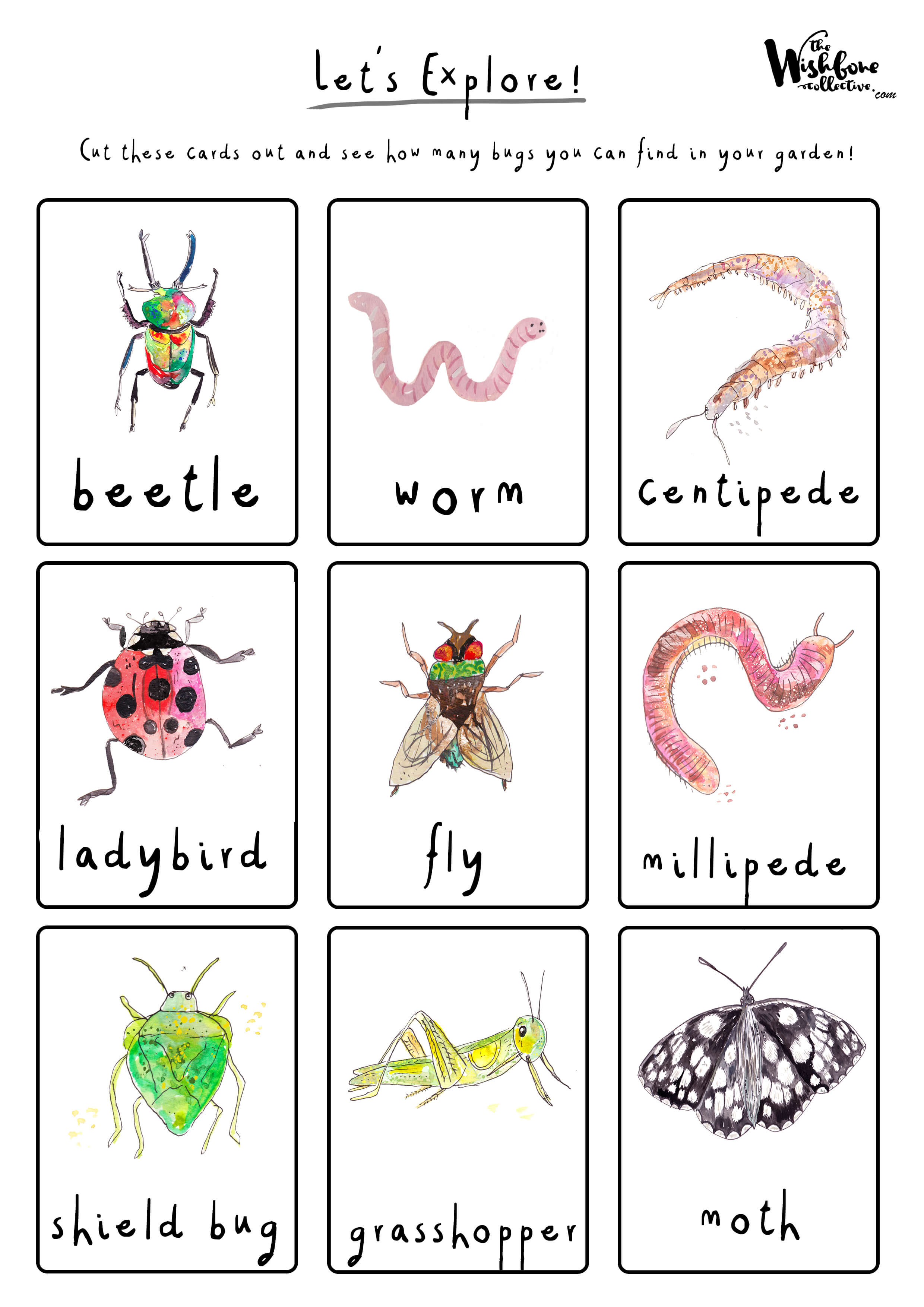 FREE Printable download Bug Hunting cards The Wishbone Collective