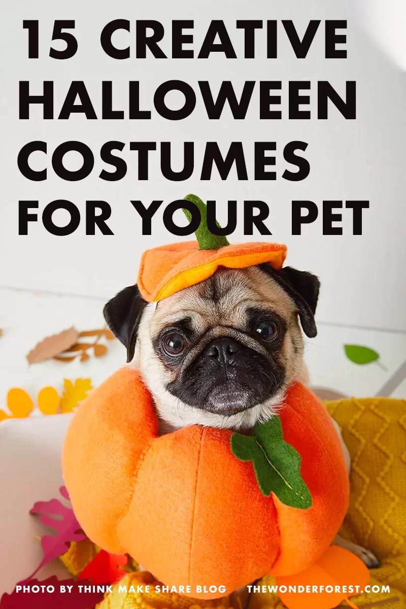 15 Creative Halloween Costumes For Your Pets Wonder Forest