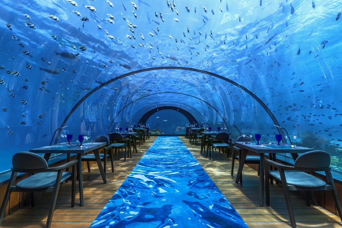 11 Incredible Underwater Hotels around the WorldThe World's Greatest