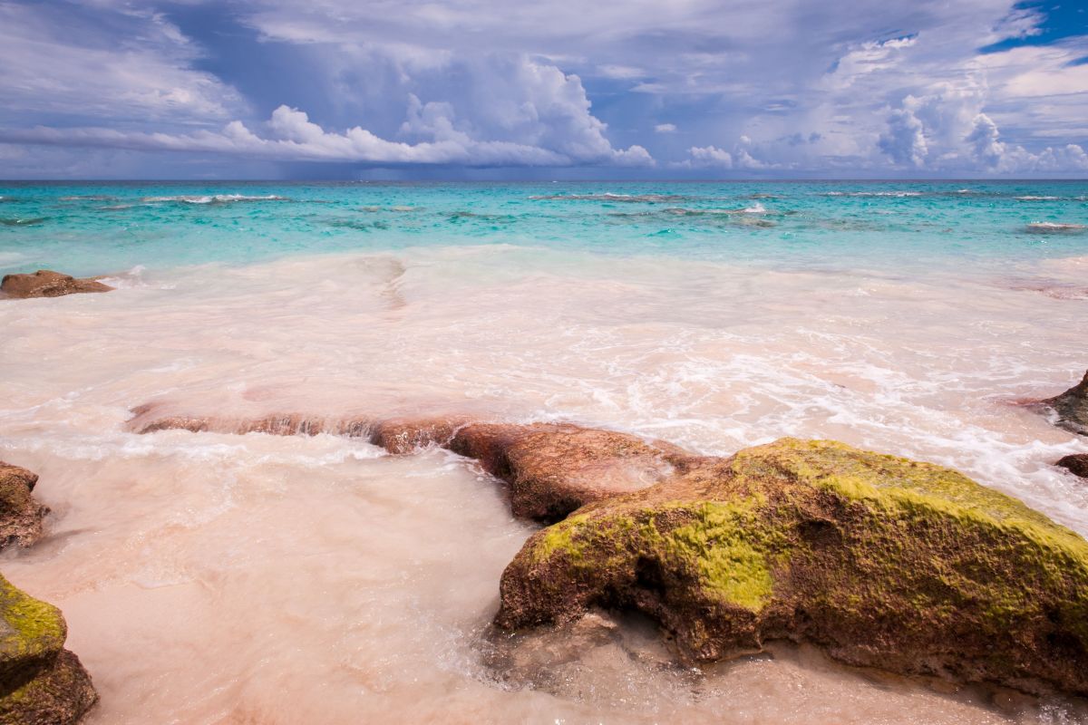 12 Incredible Pink Sand Beaches Around the WorldThe World's Greatest