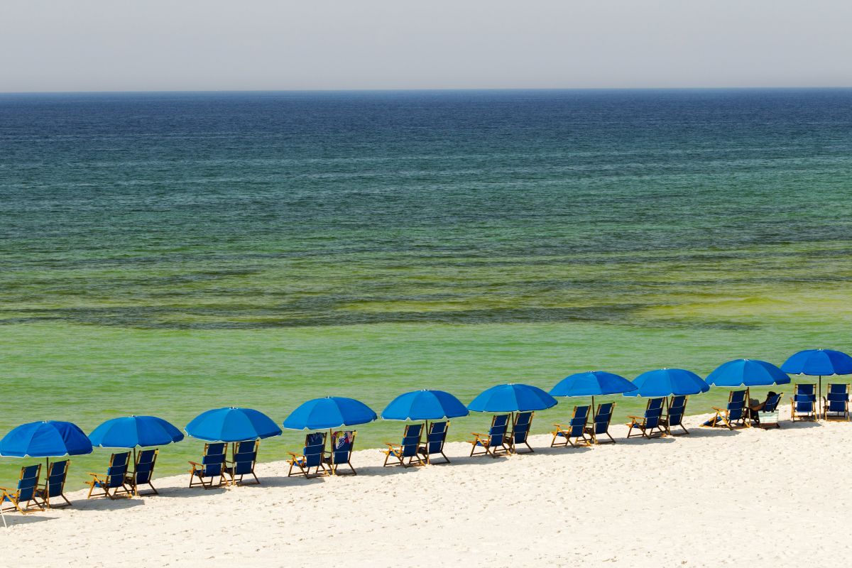 12 Top Gulf Coast Beaches to VisitThe World's Greatest Vacations