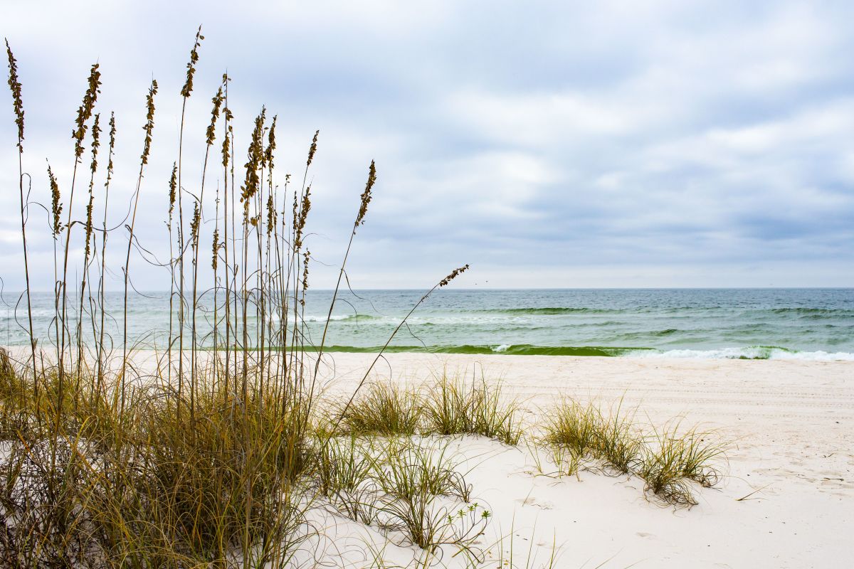 12 Top Gulf Coast Beaches to VisitThe World's Greatest Vacations
