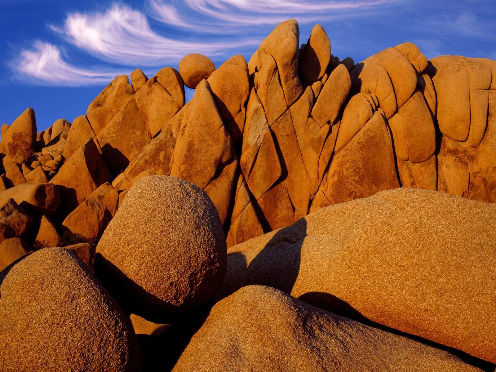Joshua Tree National Park in California, USA