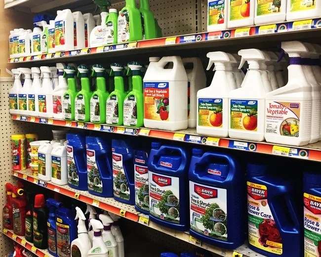 A Do It Yourself Pest Control Store in Clearwater, FL Yellow Pages