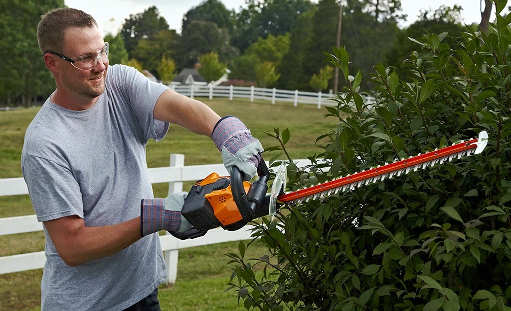 How to Trim a Hedge Using a Trimmer