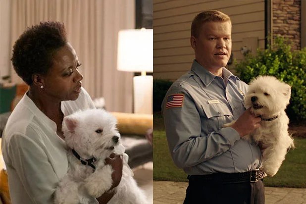 Shame On Ray Donovan For Treating Animal Cruelty As Set