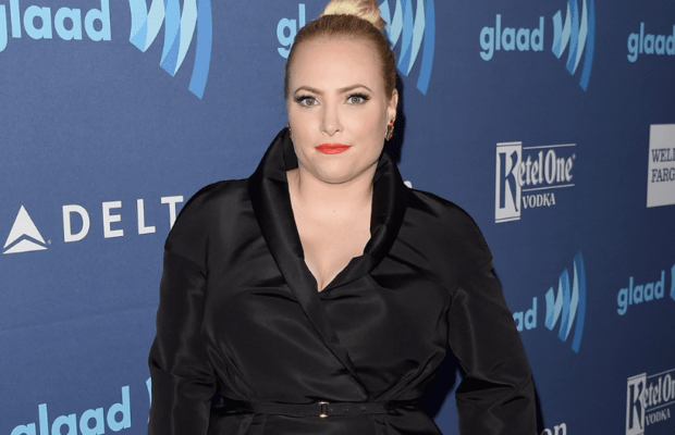 The View Summer Reading List 2023 Meghan Mccain Meghan Mccain Rips Biden Over Kabul Attack: 'Resigning Might Be Simpler For Everyone'