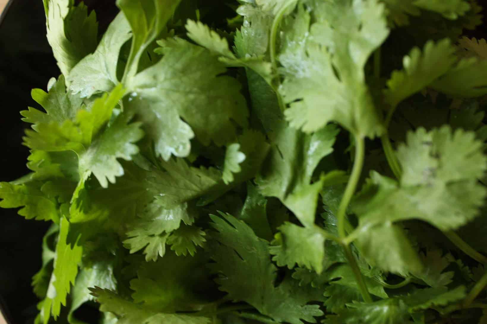 Cambodian Herbs and Spices A Cook’s Guide Thida's Kitchen