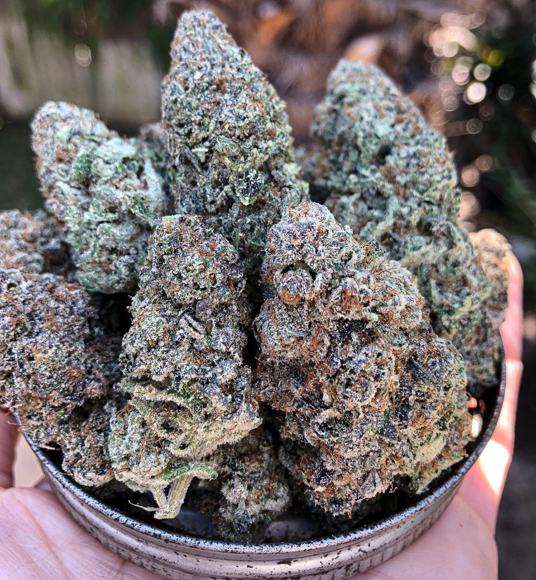 Small Bud Premium Mimosa Sativa Thin Air Nursery