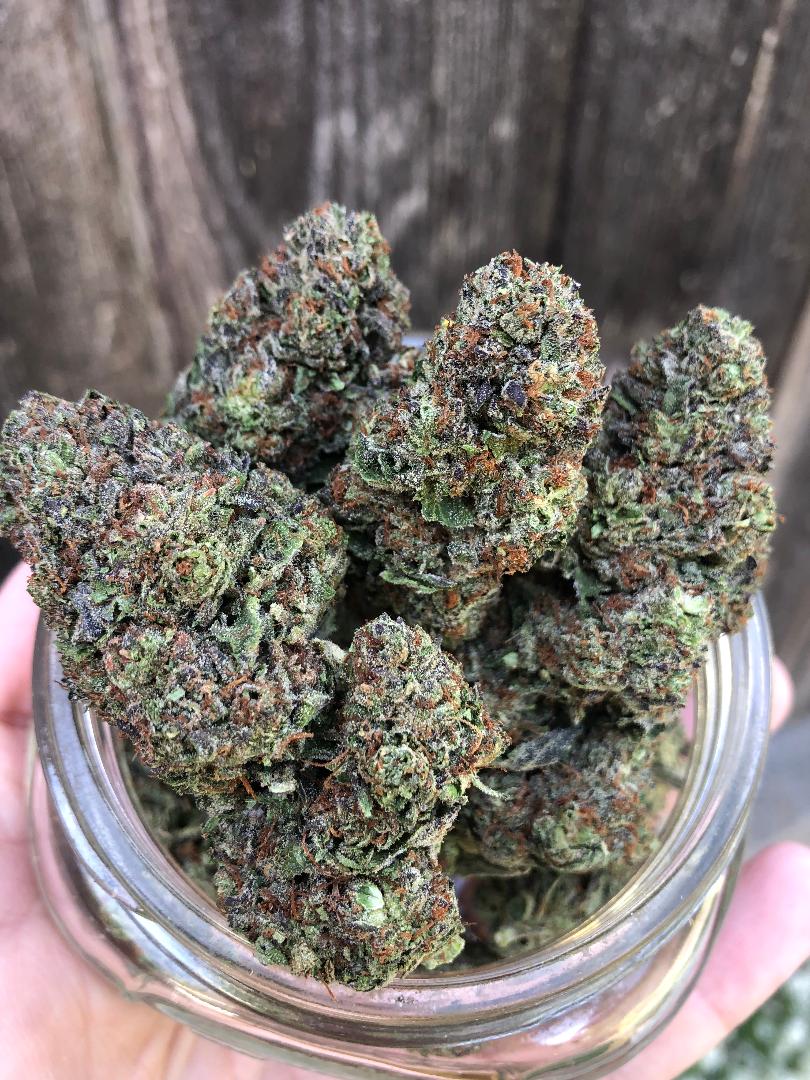 Our Growing Apple Fritter Marijuana Soft Secrets Diaries Telegraph