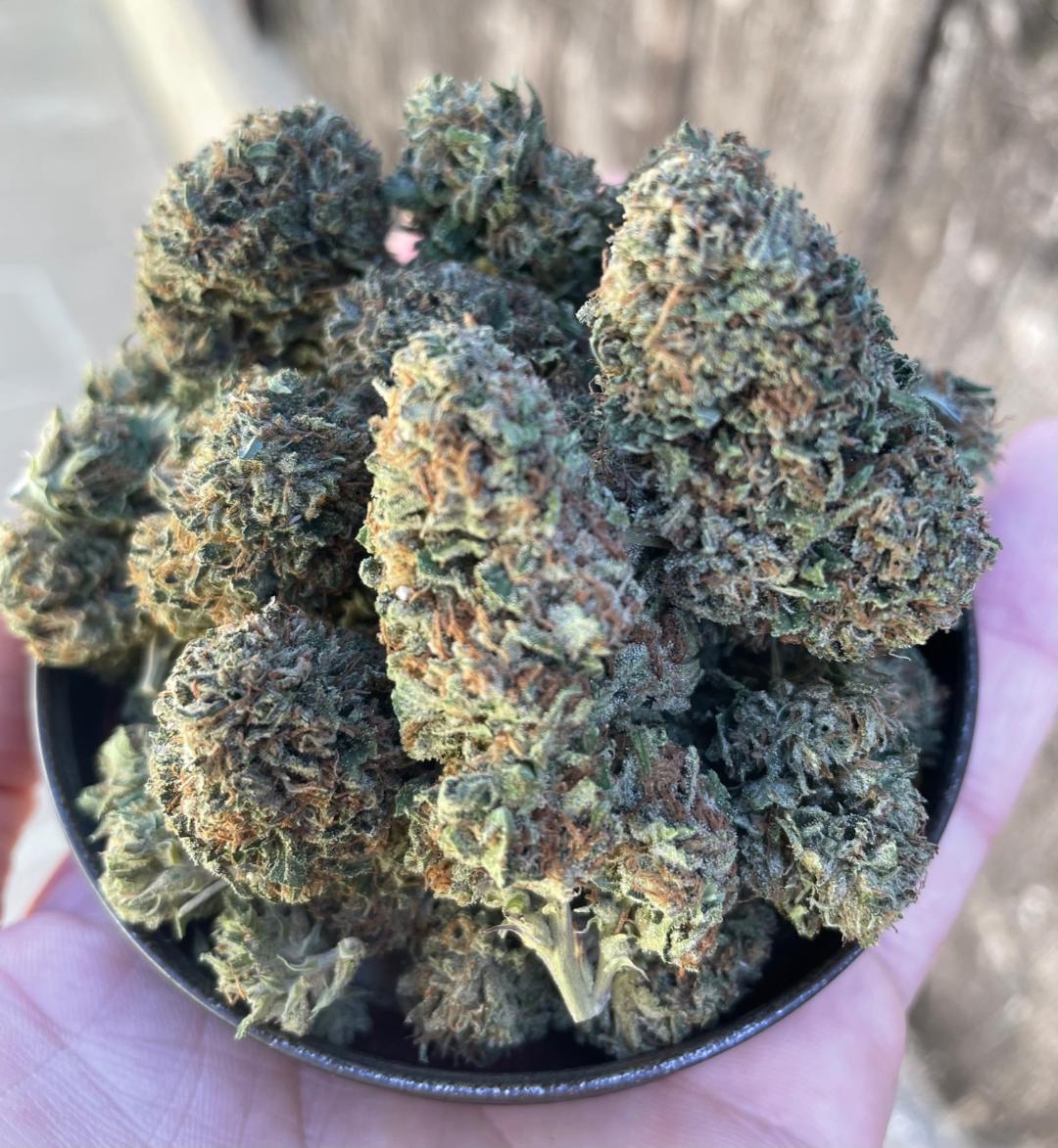 Premium Brrr Berry OG Hybrid Thin Air Nursery