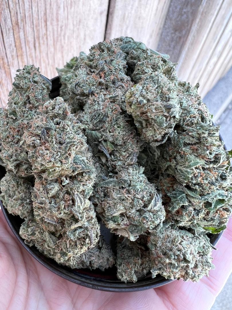 Premium Kush Mintz Hybrid Smalls Thin Air Nursery