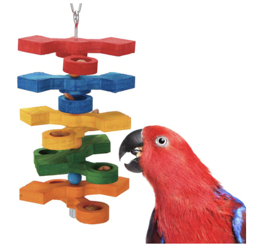 Hide n Seek Forager Toys For Medium Birds Bird Toys Canada & USA