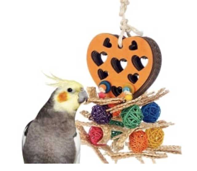 Foraging Heart Toys For Small Birds Bird Toys Canada & USA