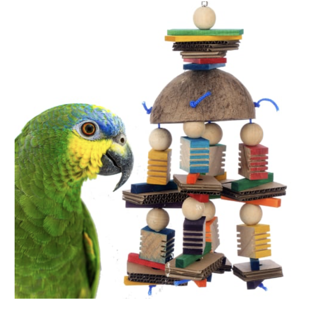 Coconut Mobile Toys For Medium Birds Bird Toys Canada & USA