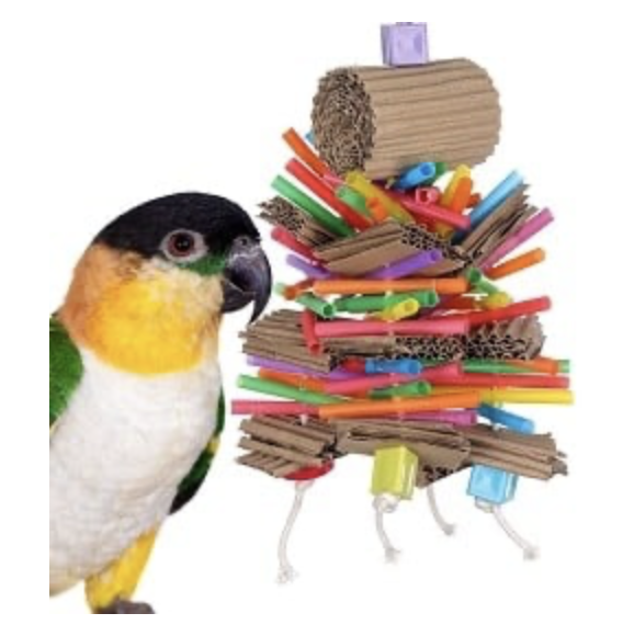 On A Roll Toys For Small Birds Bird Toys Canada & USA Giant