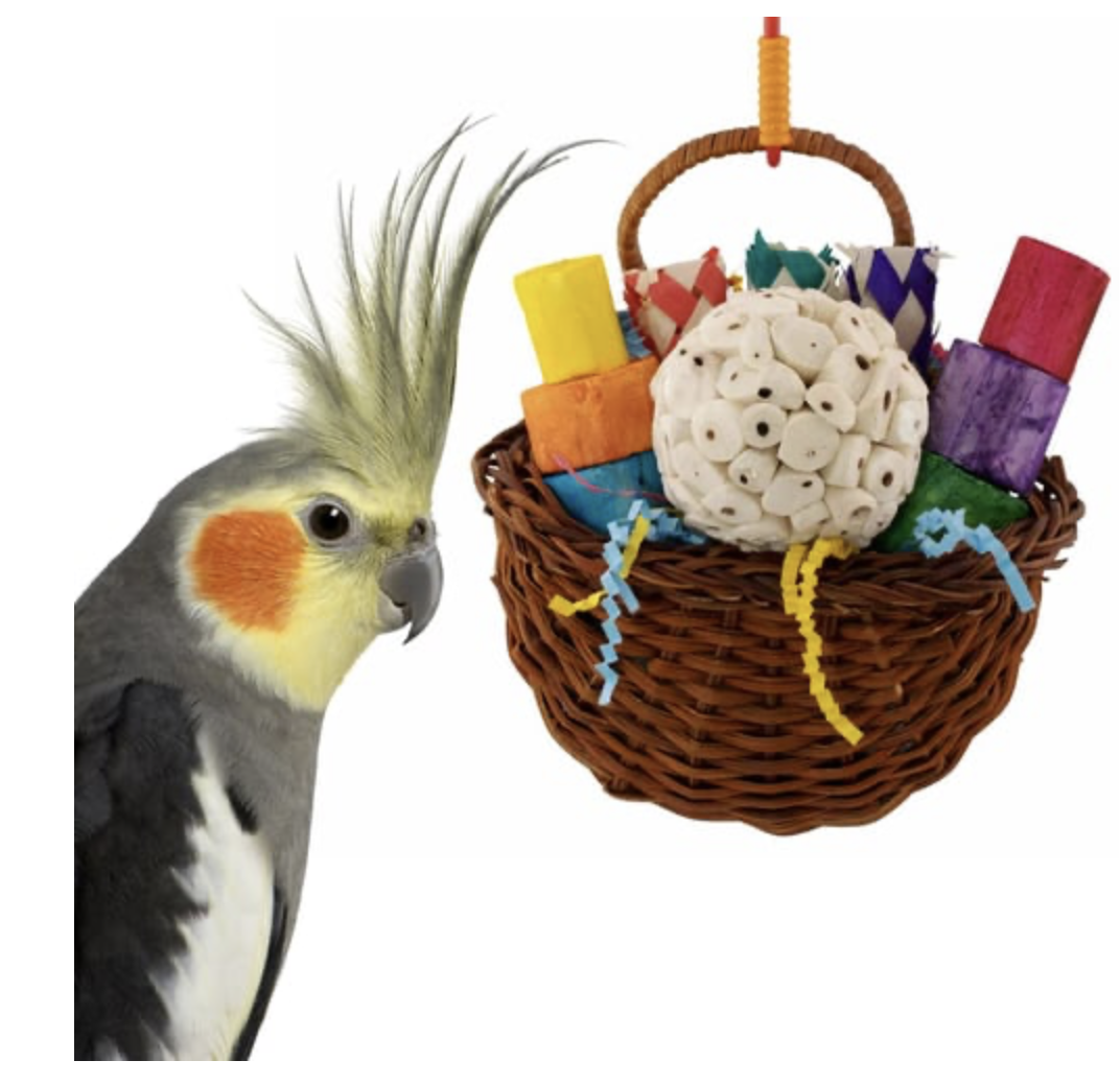 Sola Party Basket Toys For Small Birds Bird Toys Canada & USA