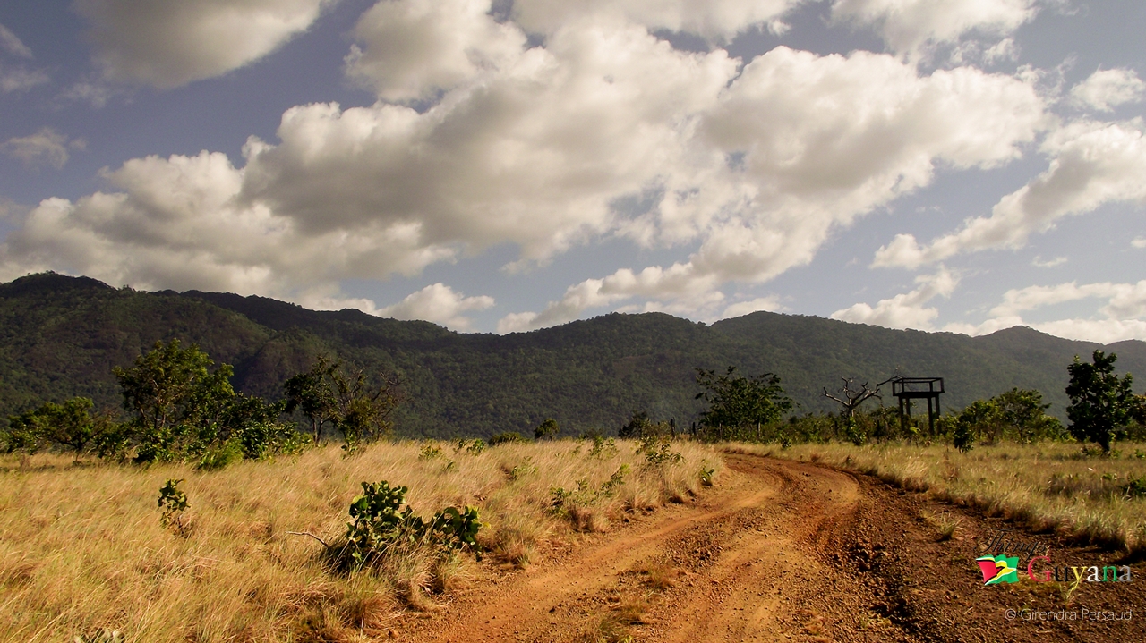 The Road To Kumu Things Guyana