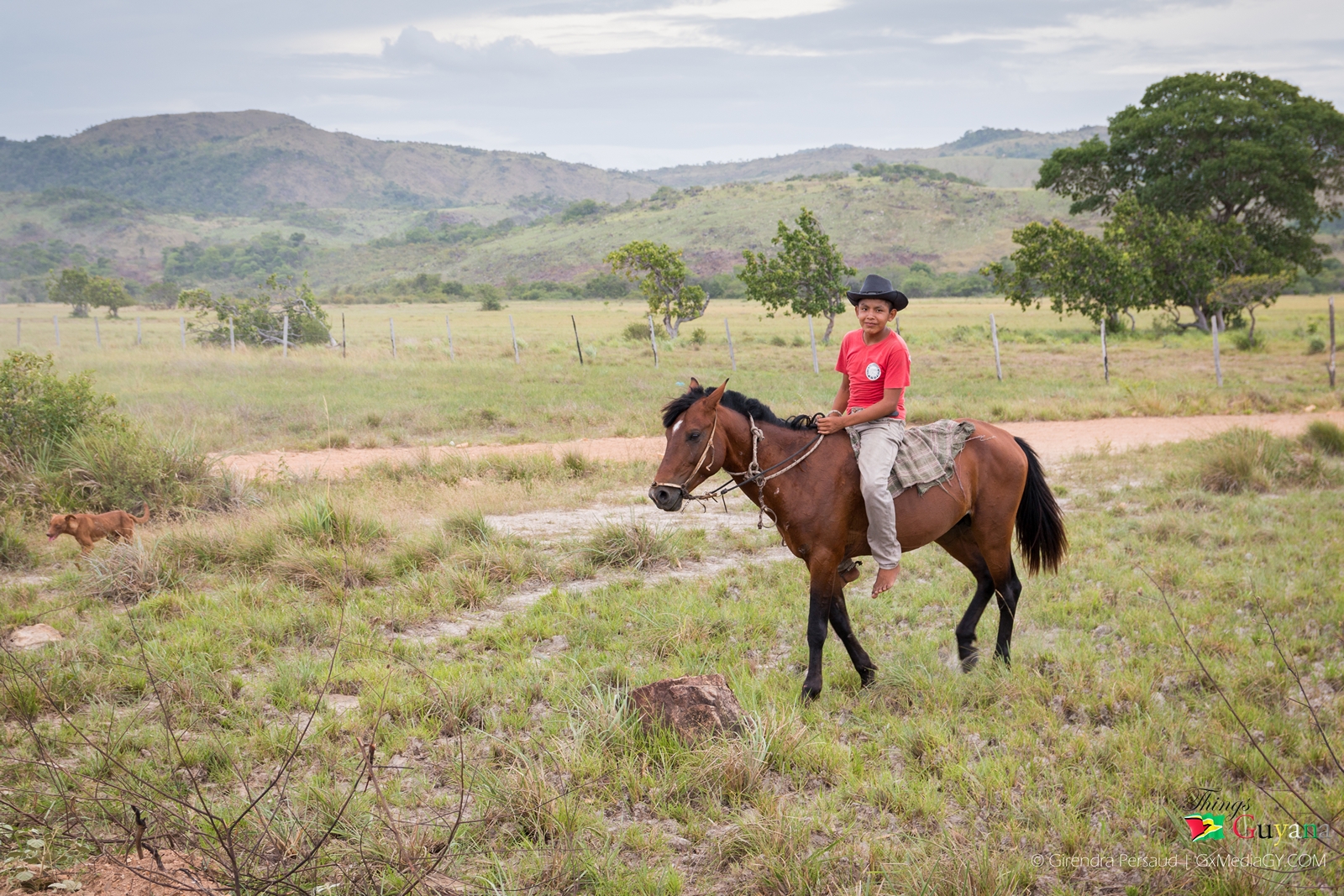 Top 10 Reasons Why You Should Visit Lethem for Your Next Vacation