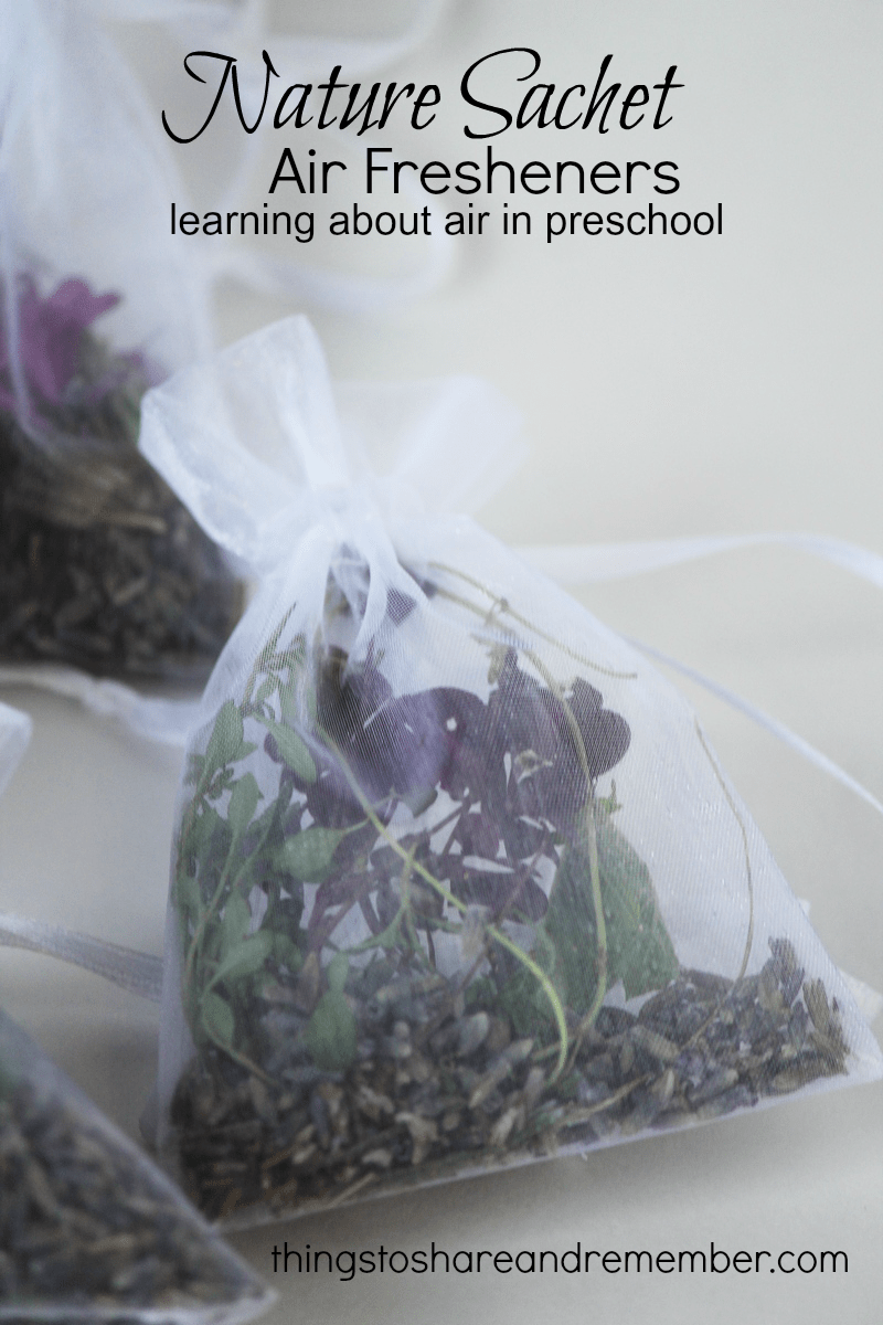 Nature Sachet Air Fresheners » Share & Remember Celebrating Child & Home