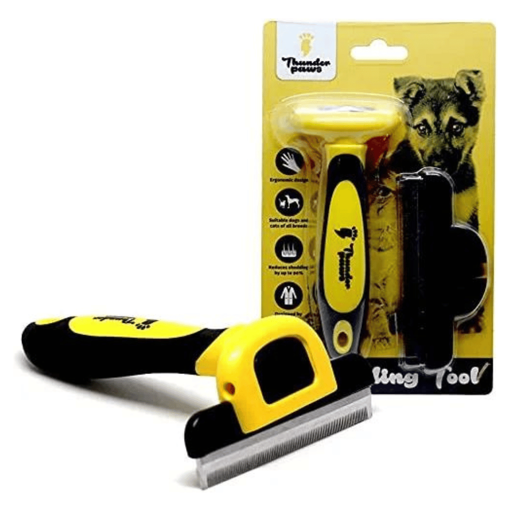 Best Brush for Short Hair Dogs