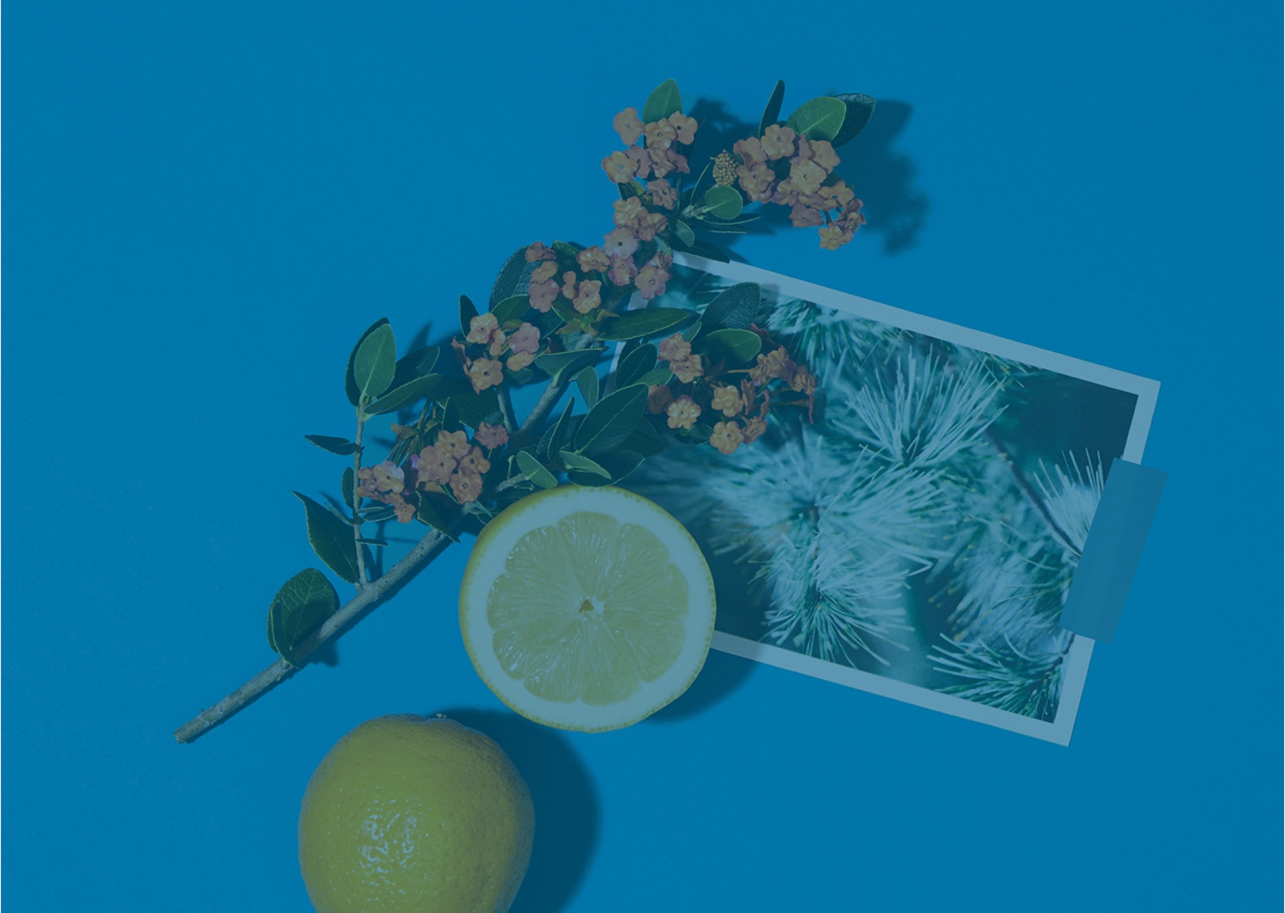 Blue Green Header Tumblr