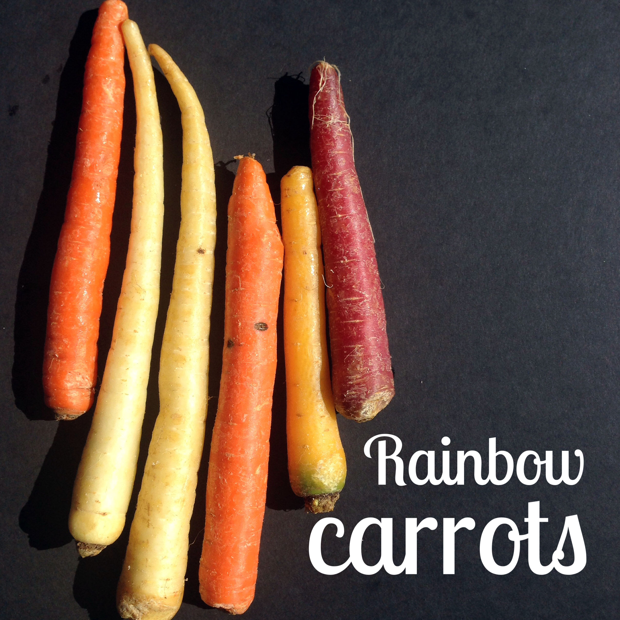 Ingredient of the Month Rainbow Carrots