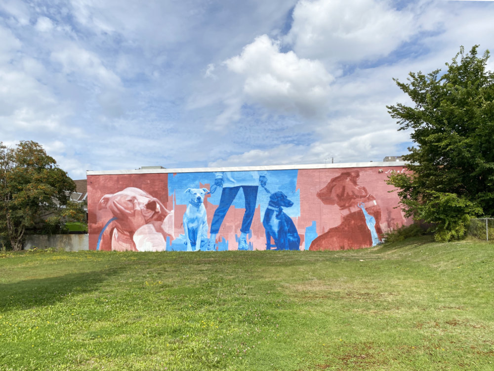 Even More New Murals in Halifax