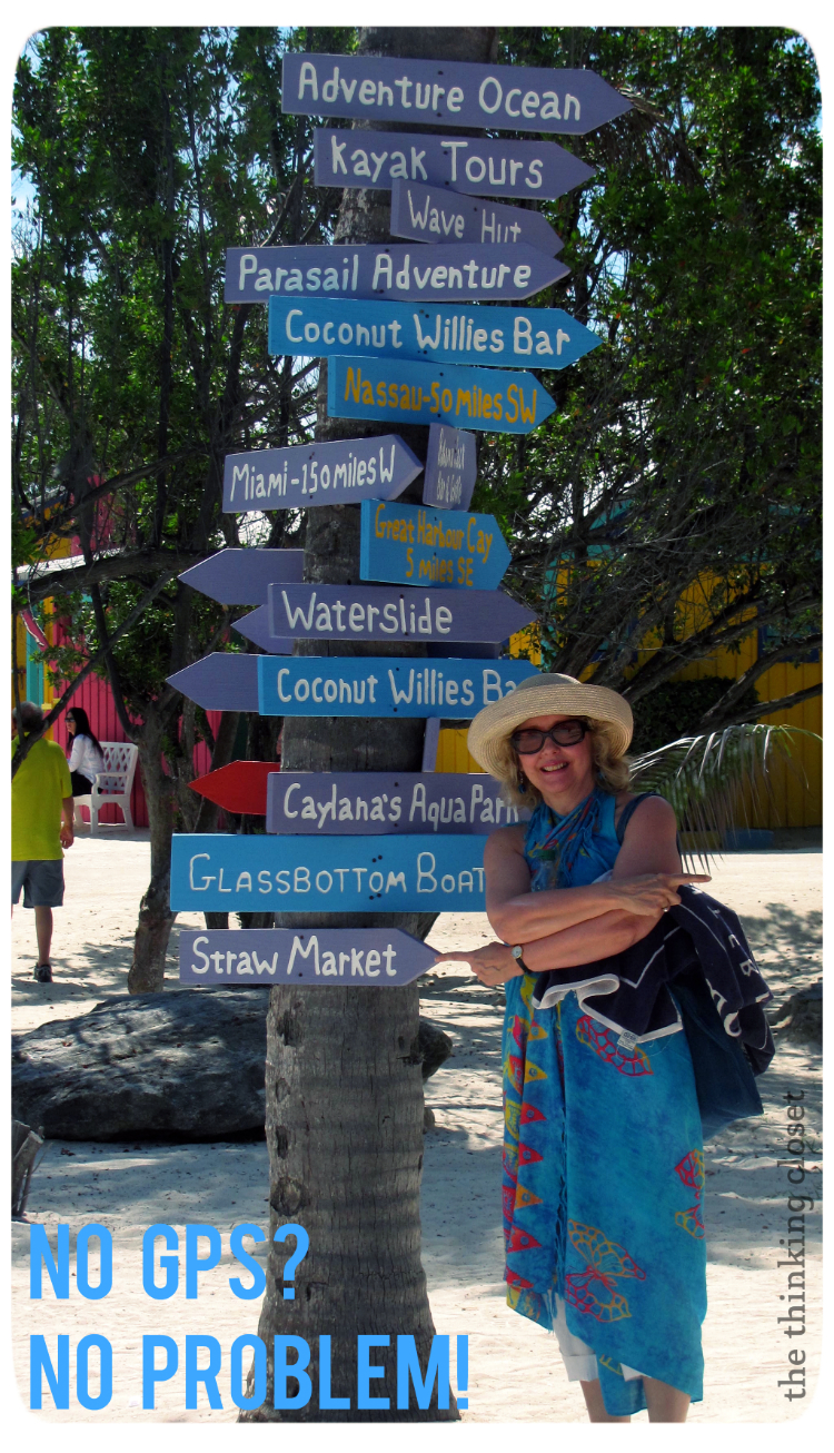 How to Survive and Thrive on Your First Cruise the thinking closet