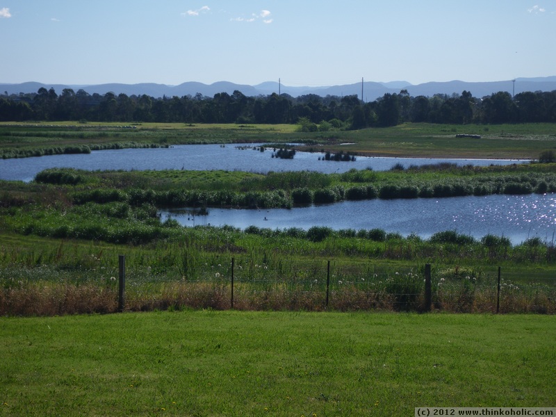 mcgraths hill wetlands