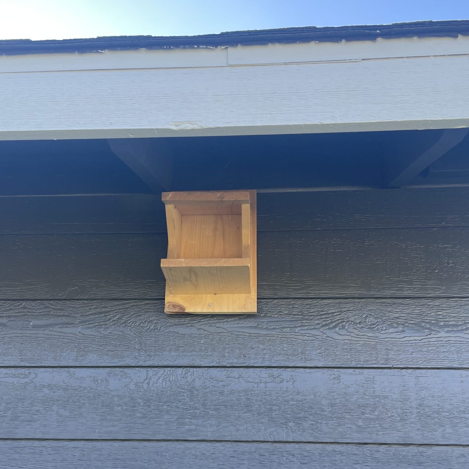Swallow Nest Box Think Wild Wildlife Hospital and Conservation Center