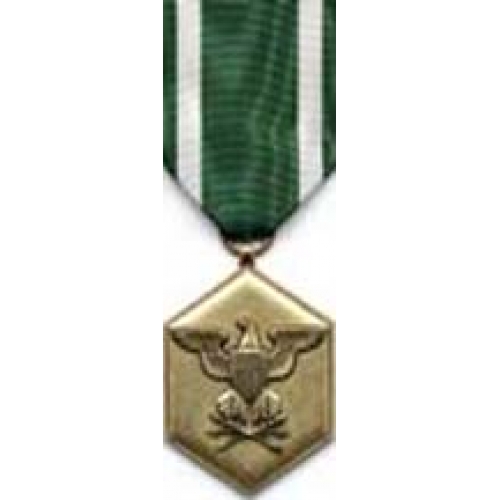 Large Navy/Marine Commendation Medal