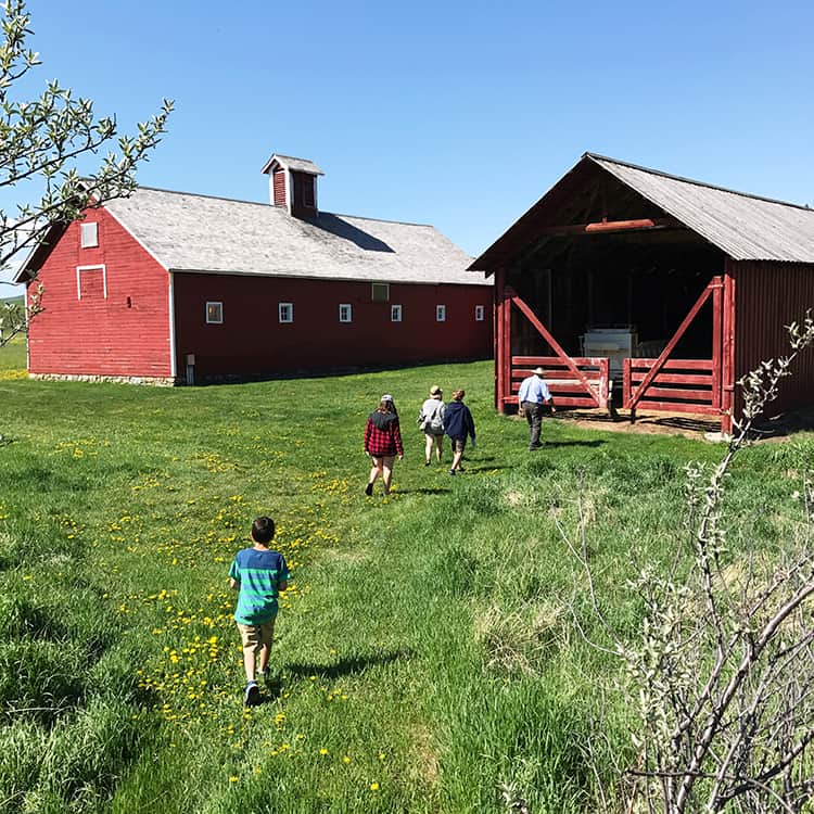 Visit Bar U Ranch This Big Adventure